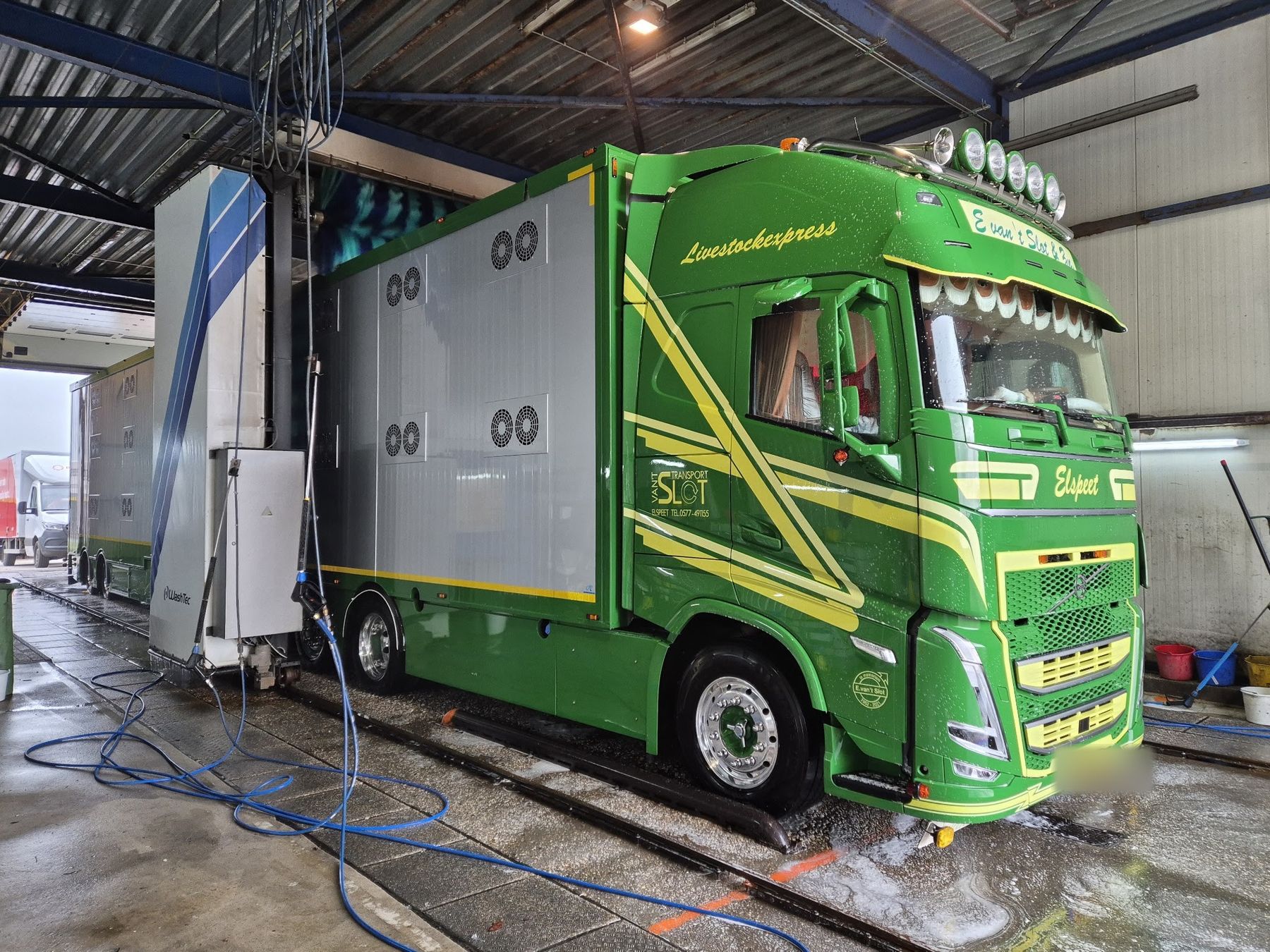 Een groene veewagen in de wasstraat, met slangen op de vloer